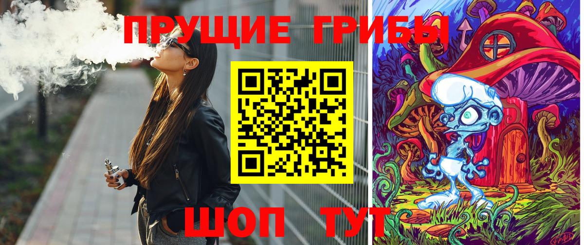 Галлюциногенные грибы Psilocybine cubensis Елабуга