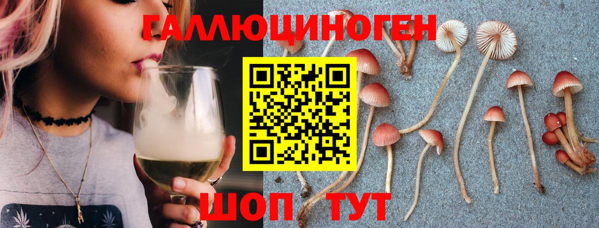 Псилоцибиновые грибы Cubensis  Вход с VPN  Елабуга 